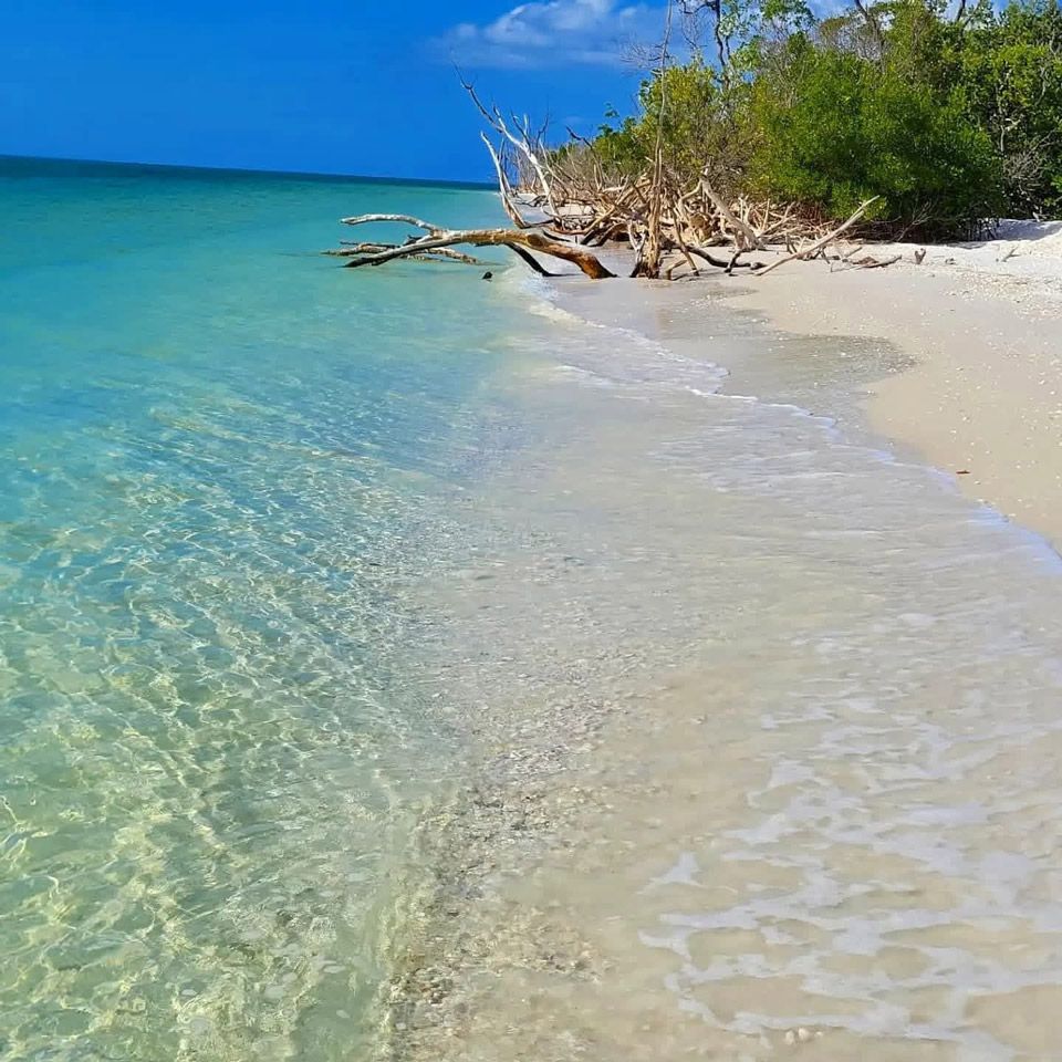 Beach