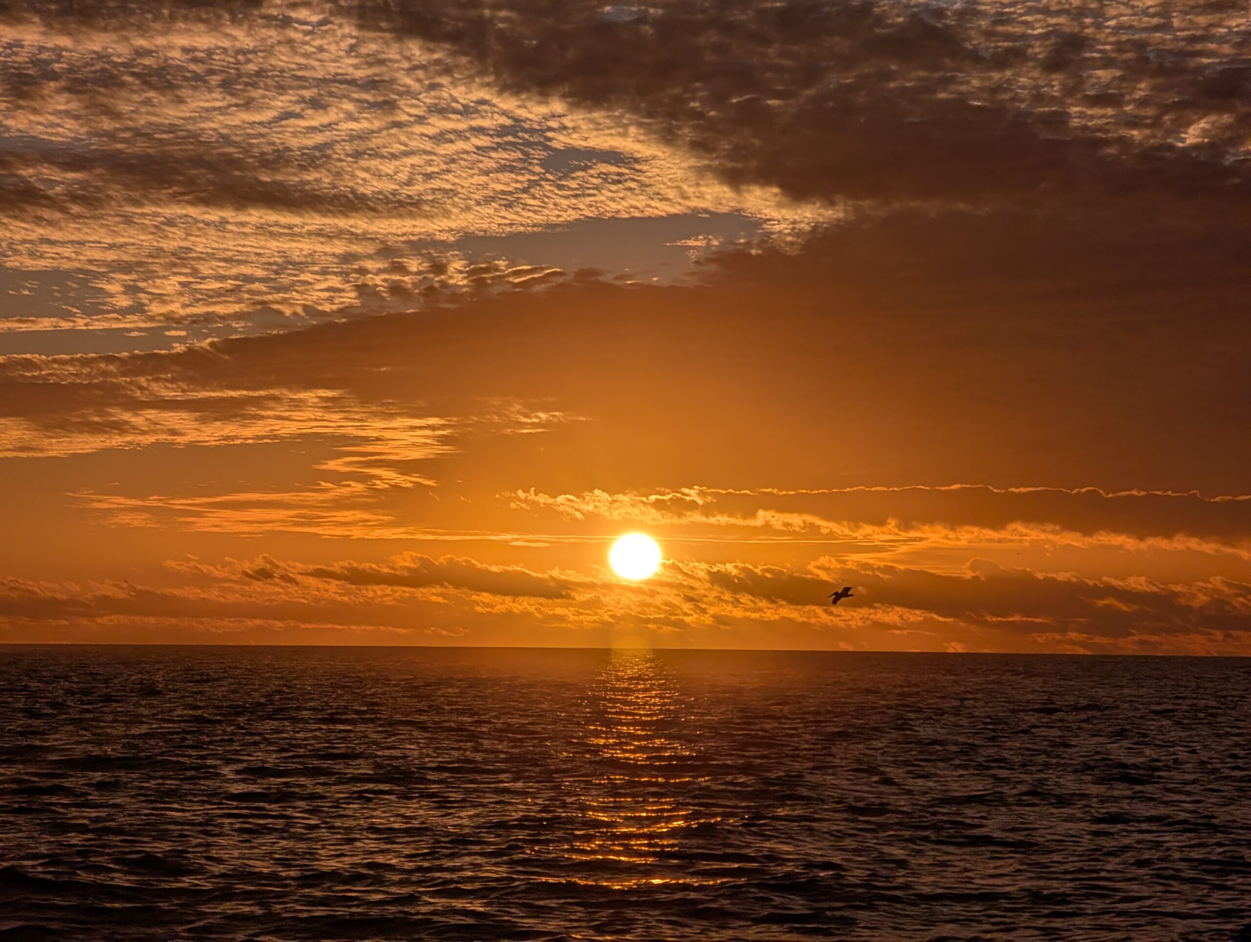 Boat wake at golden hour